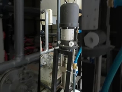 ΠΑΜΠΗ ΠΙΣΤΟΝ